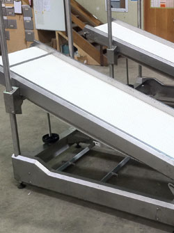 Height Adjustable Fruit Process Conveyor