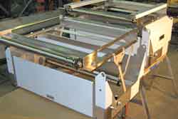 Fruit sorting machine